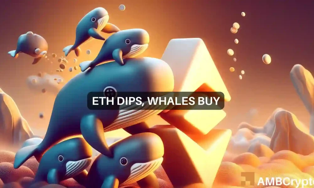 以太坊的大动作：鲸鱼买入下跌，ETH的价格为…