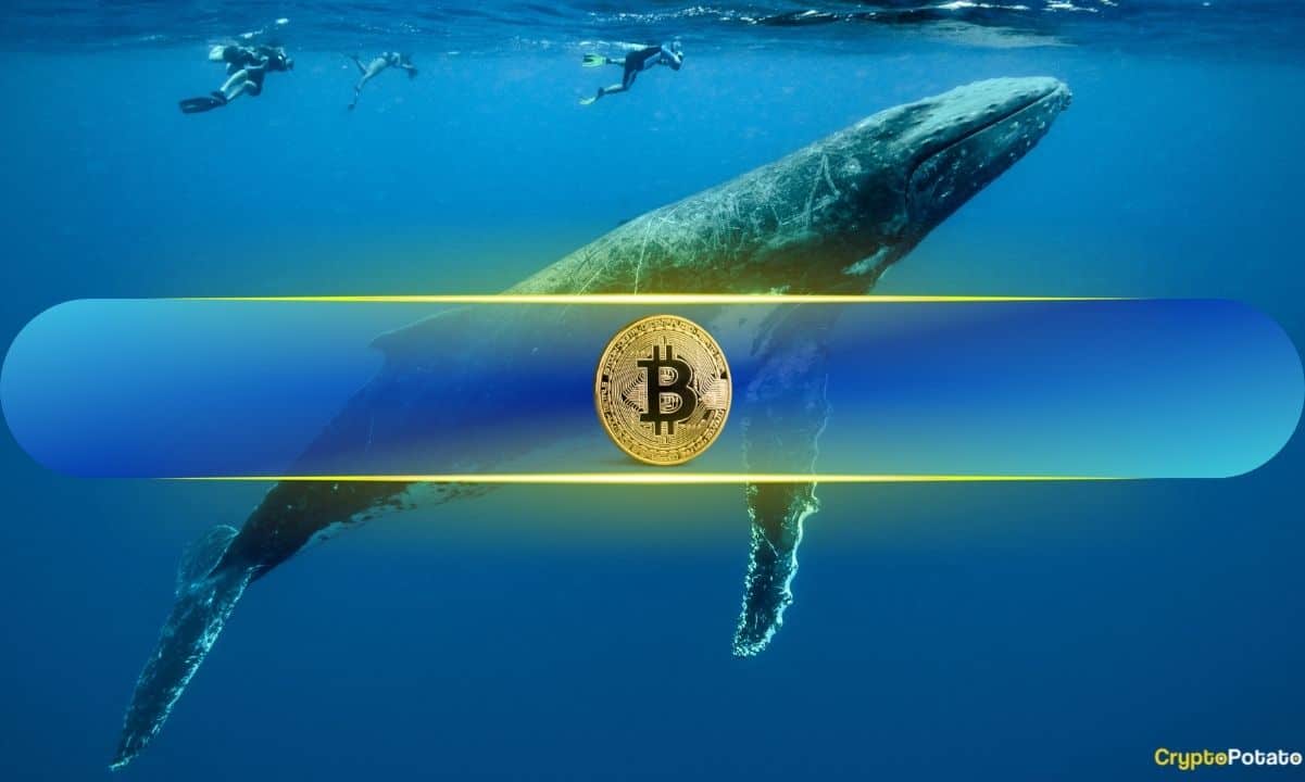 外汇流入激增：比特币鲸鱼在获利吗？