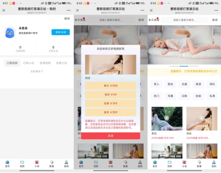 演示图1