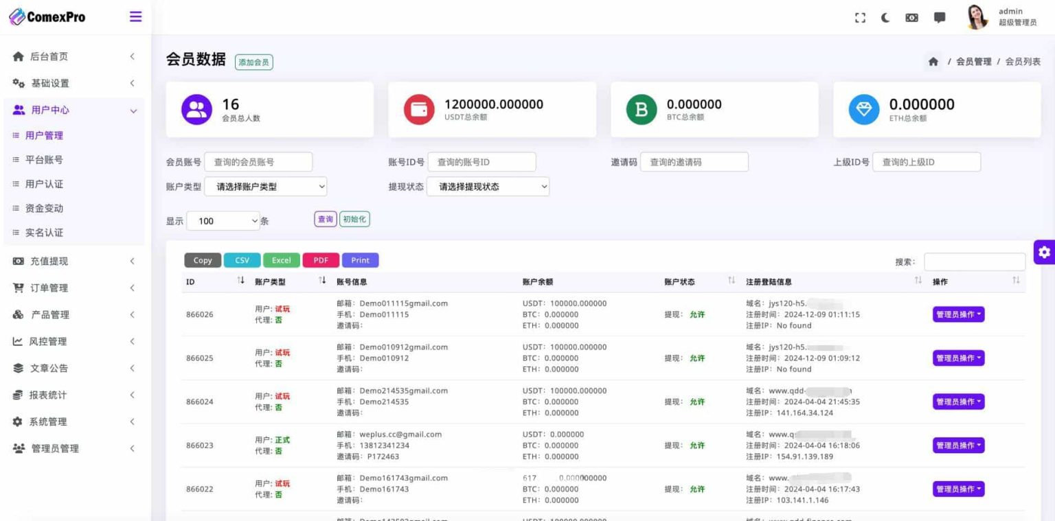 演示图2