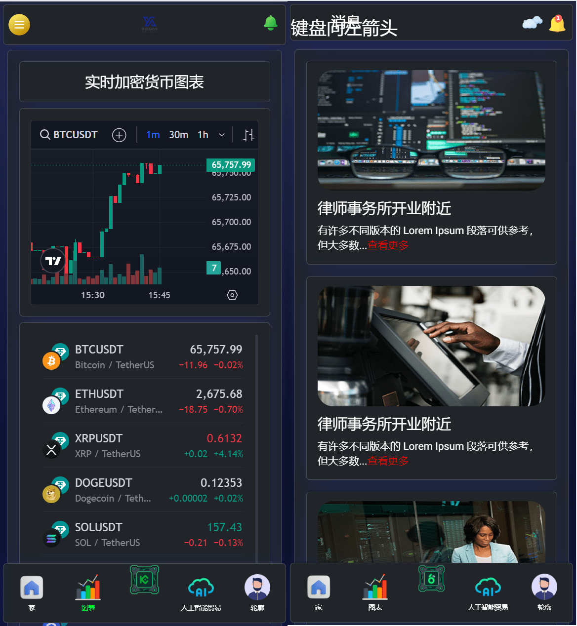 演示图1