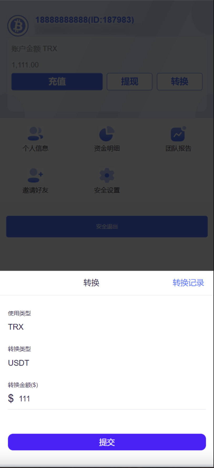 演示图4
