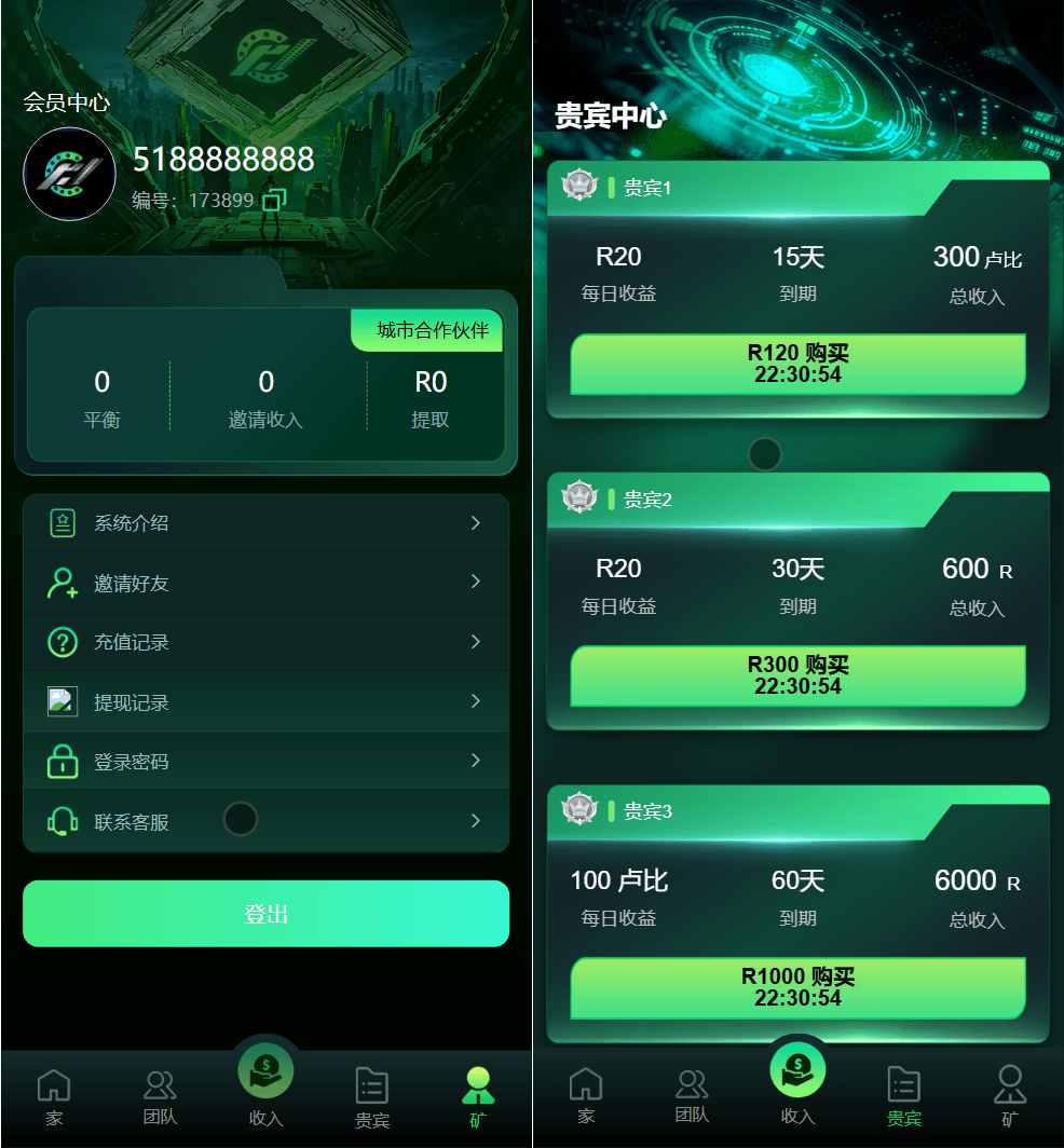 演示图2