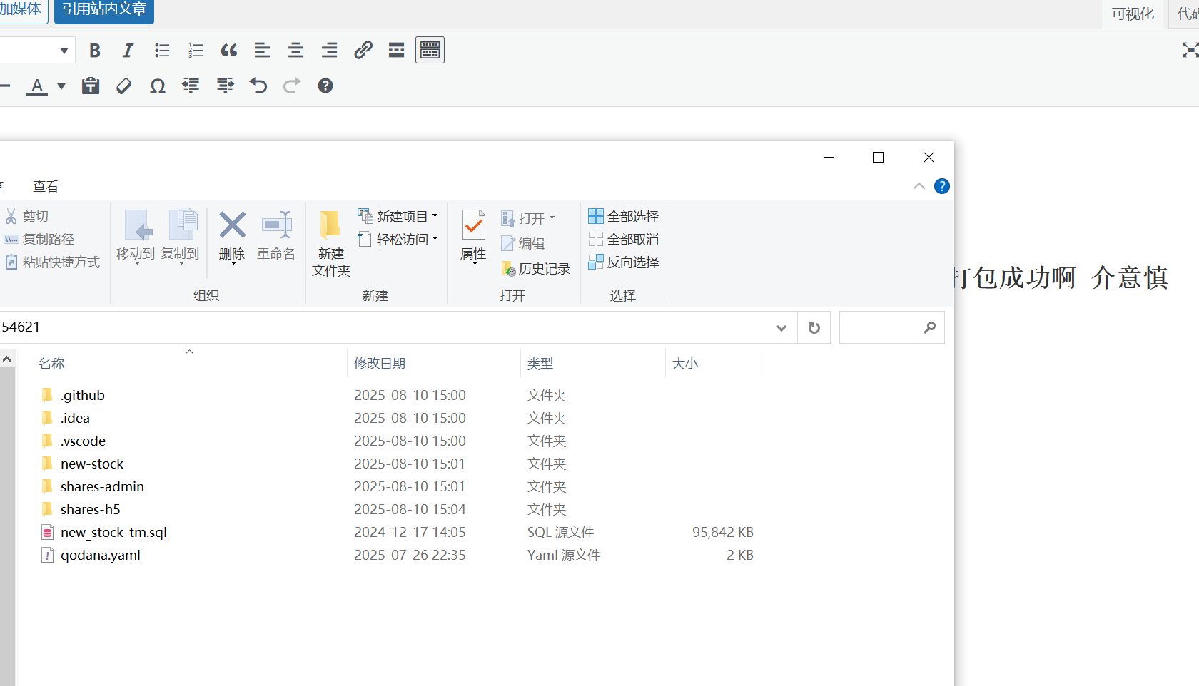 演示图2