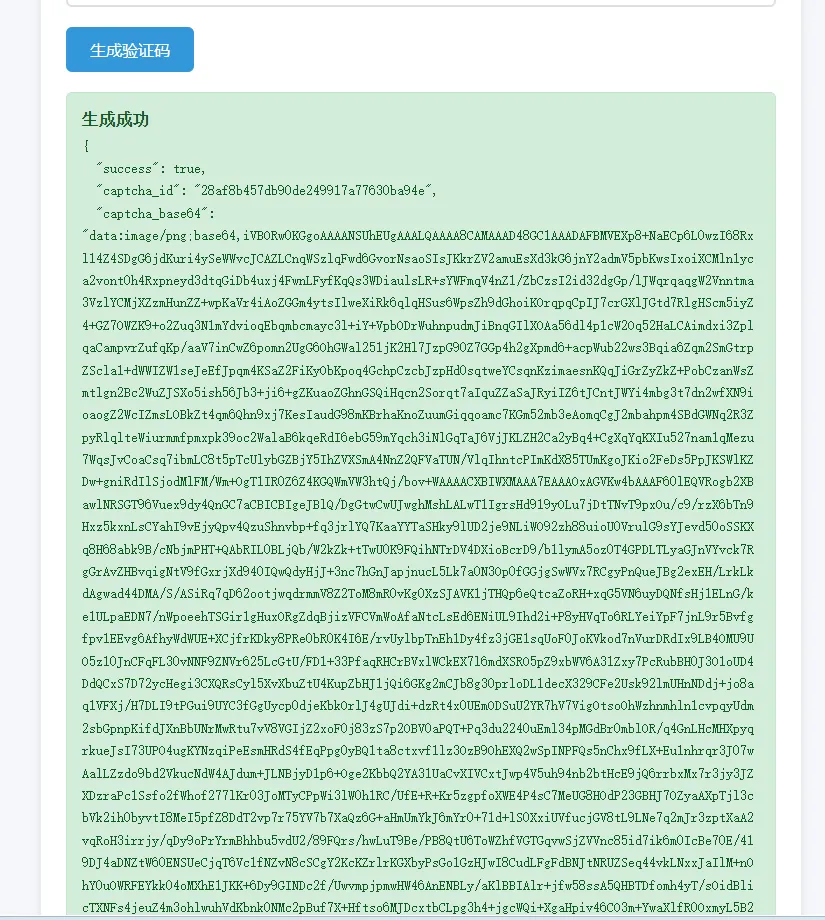 php图形验证码生成系统源码 支持api接口调用 提供SDK 轻量级简单易用插图4