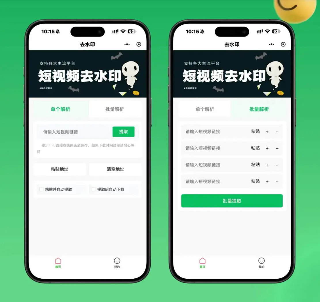 2026最新去水印小程序源码 v1.6.5 带流量主插图